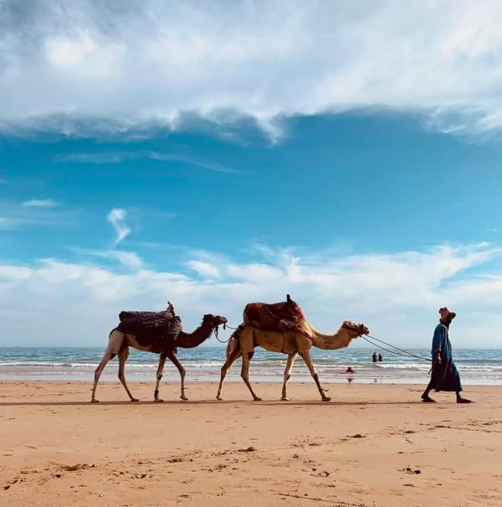Tamraght Travel Surf Nature المظهر الخارجي الصورة